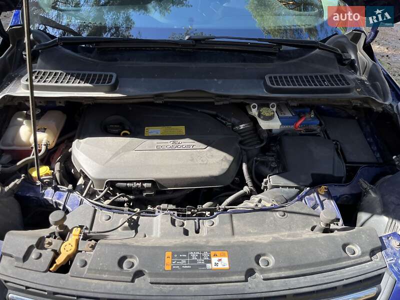 Внедорожник / Кроссовер Ford Escape 2012 в Сумах