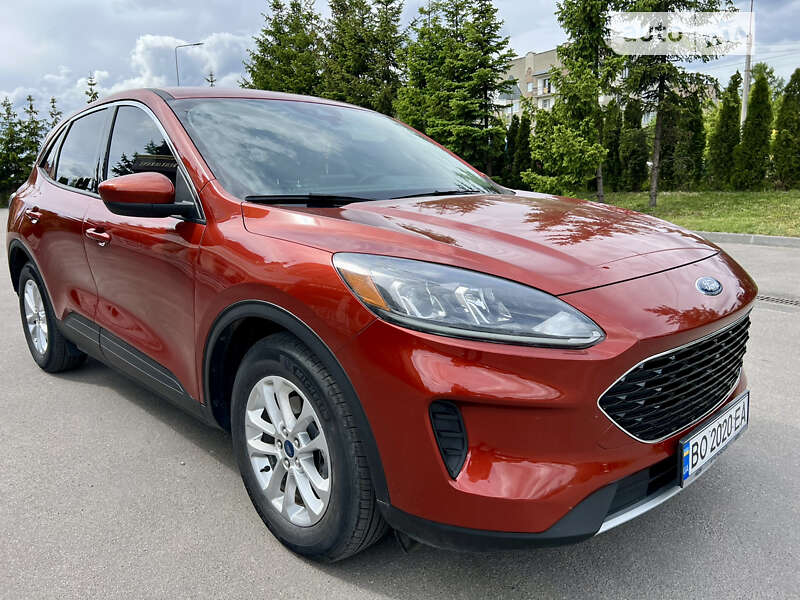 Внедорожник / Кроссовер Ford Escape 2019 в Тернополе