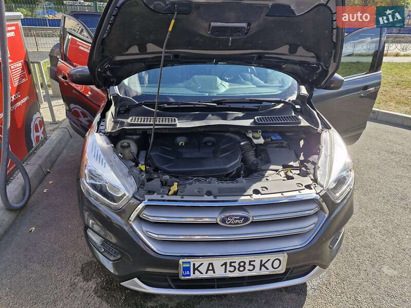 Внедорожник / Кроссовер Ford Escape 2017 в Киеве фото 24 Внедорожник / Кроссовер Ford Escape 2017 в Киеве