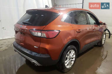 Внедорожник / Кроссовер Ford Escape 2019 в 
