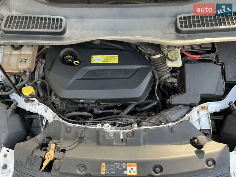 Внедорожник / Кроссовер Ford Escape 2012 в Киеве