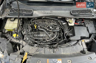 Внедорожник / Кроссовер Ford Escape 2014 в 