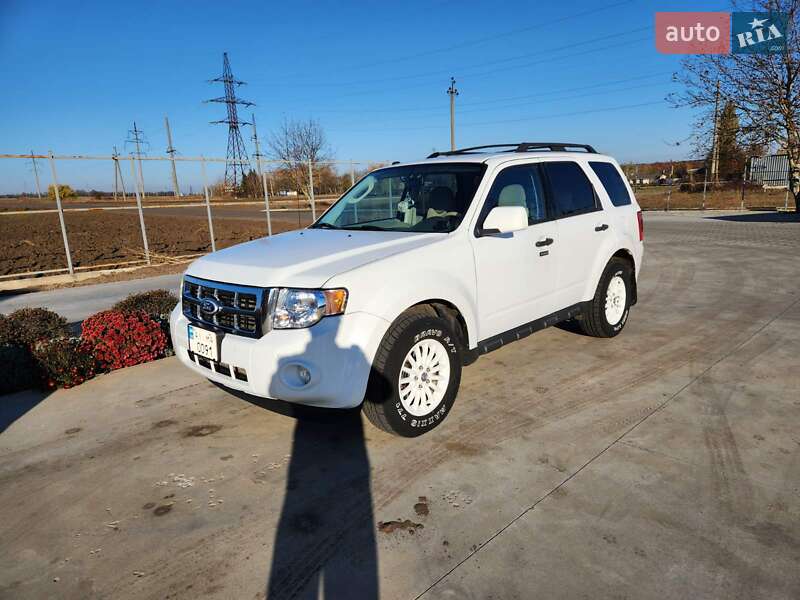 Внедорожник / Кроссовер Ford Escape 2010 в Ставище