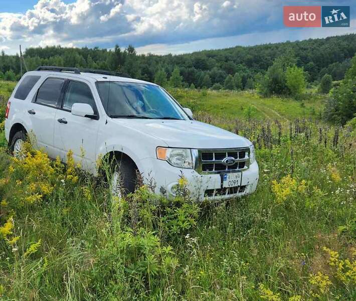 Внедорожник / Кроссовер Ford Escape 2010 в Ставище