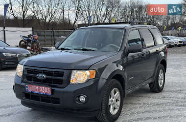 Внедорожник / Кроссовер Ford Escape 2008 в Львове