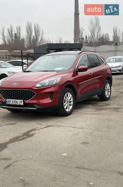 Позашляховик / Кросовер Ford Escape 2020 в Запоріжжі