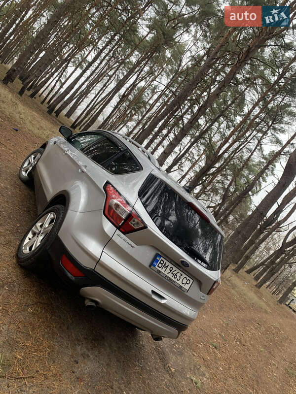 Внедорожник / Кроссовер Ford Escape 2019 в Сумах