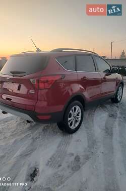 Позашляховик / Кросовер Ford Escape 2019 в Львові