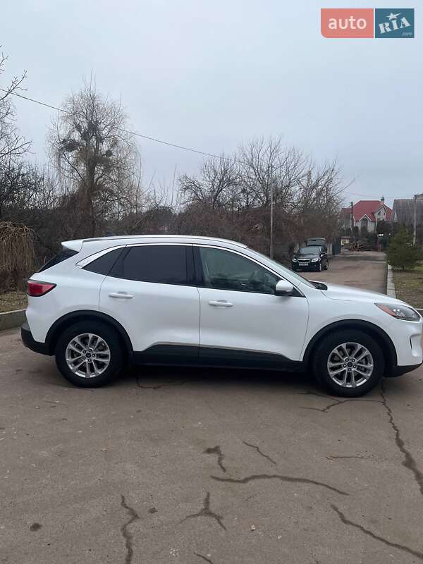 Внедорожник / Кроссовер Ford Escape 2021 в Житомире