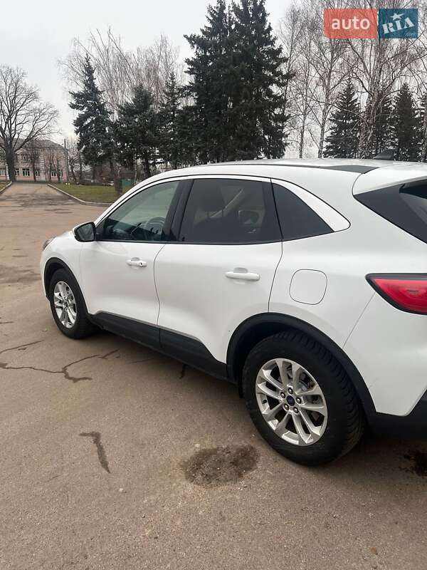 Внедорожник / Кроссовер Ford Escape 2021 в Житомире