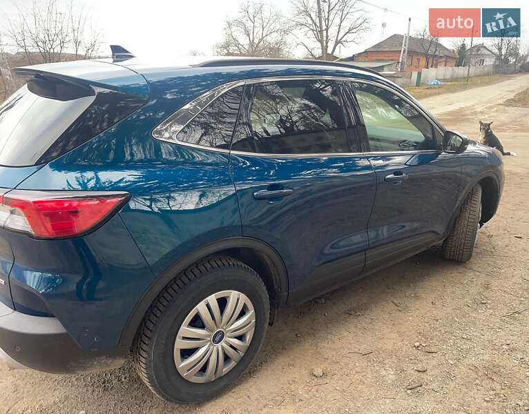 Внедорожник / Кроссовер Ford Escape 2019 в Хмельницком
