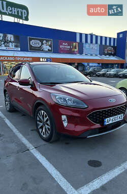 Внедорожник / Кроссовер Ford Escape 2019 в Запорожье