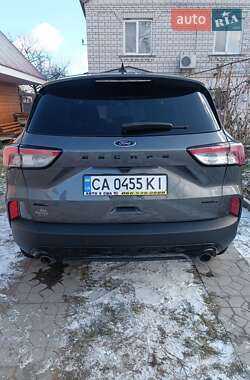 Внедорожник / Кроссовер Ford Escape 2021 в 