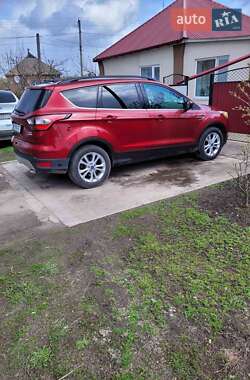 Внедорожник / Кроссовер Ford Escape 2019 в 