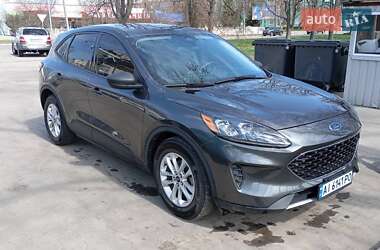 Внедорожник / Кроссовер Ford Escape 2020 в Шостке