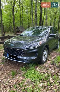 Позашляховик / Кросовер Ford Escape 2019 в Києві