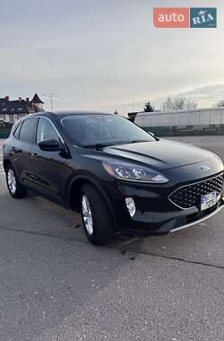 Внедорожник / Кроссовер Ford Escape 2021 в 