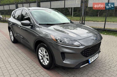 Внедорожник / Кроссовер Ford Escape 2022 в Запорожье