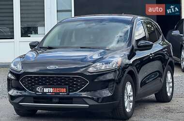 Внедорожник / Кроссовер Ford Escape 2020 в 