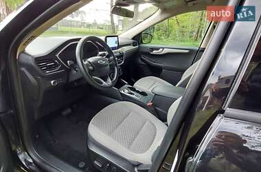 Внедорожник / Кроссовер Ford Escape 2020 в 