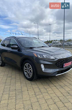 Внедорожник / Кроссовер Ford Escape 2019 в Львове