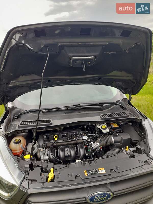 Внедорожник / Кроссовер Ford Escape 2018 в Полтаве фото 21 Внедорожник / Кроссовер Ford Escape 2018 в Полтаве