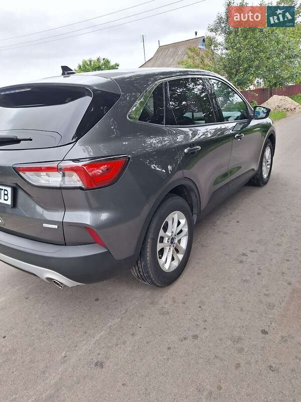Внедорожник / Кроссовер Ford Escape 2020 в Белой Церкви