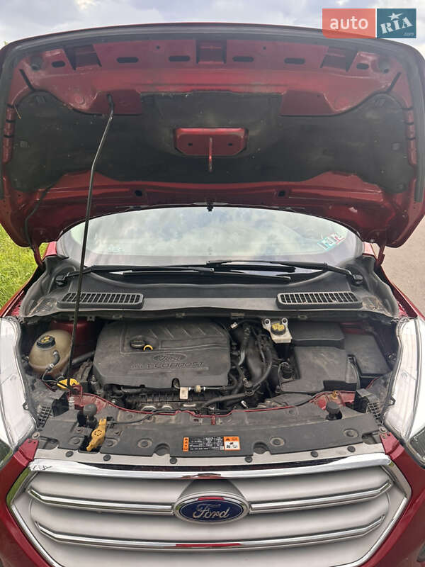 Внедорожник / Кроссовер Ford Escape 2018 в Киеве