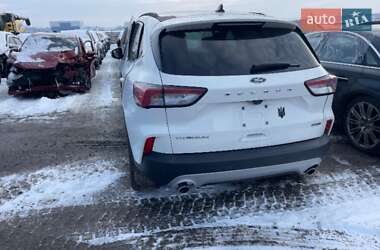 Внедорожник / Кроссовер Ford Escape 2021 в 