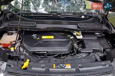 Внедорожник / Кроссовер Ford Escape 2015 в 