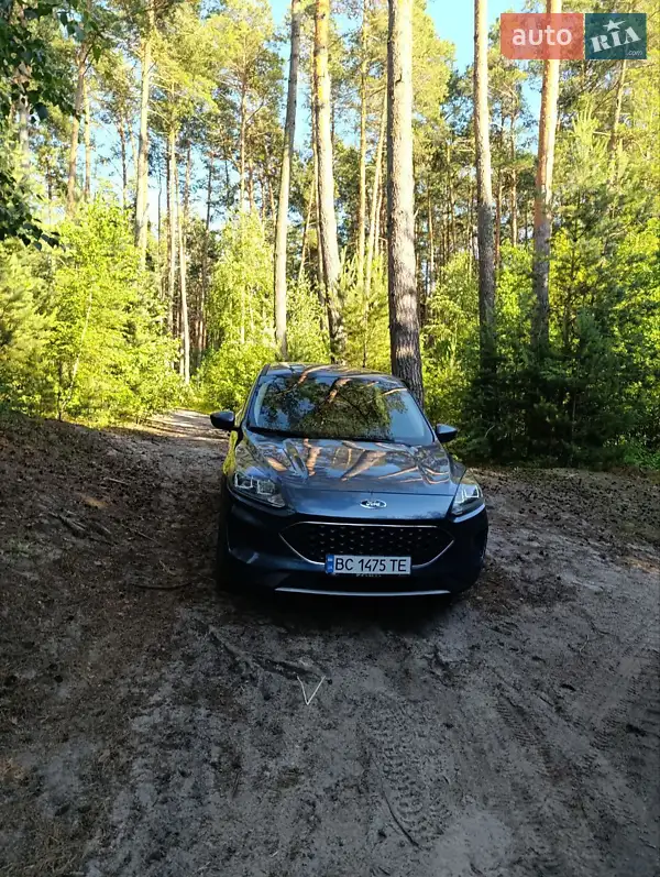 Ford Escape