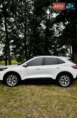 Внедорожник / Кроссовер Ford Escape 2020 в Сумах