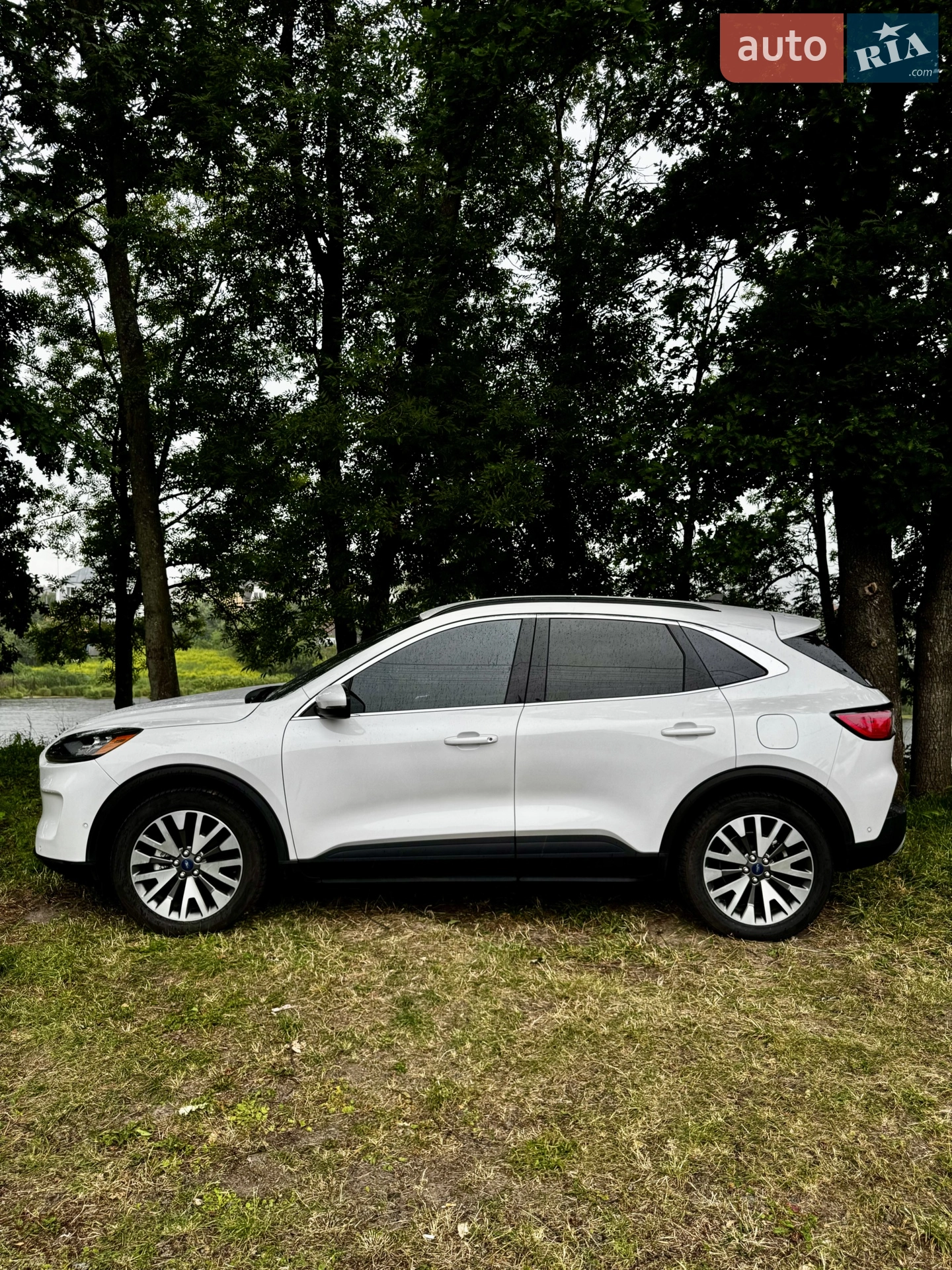 2020 Ford Escape - фото 1