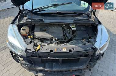 Внедорожник / Кроссовер Ford Escape 2018 в 