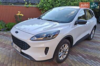 Позашляховик / Кросовер Ford Escape 2022 в Ізяславі
