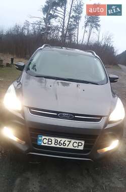 Внедорожник / Кроссовер Ford Escape 2014 в Чернигове