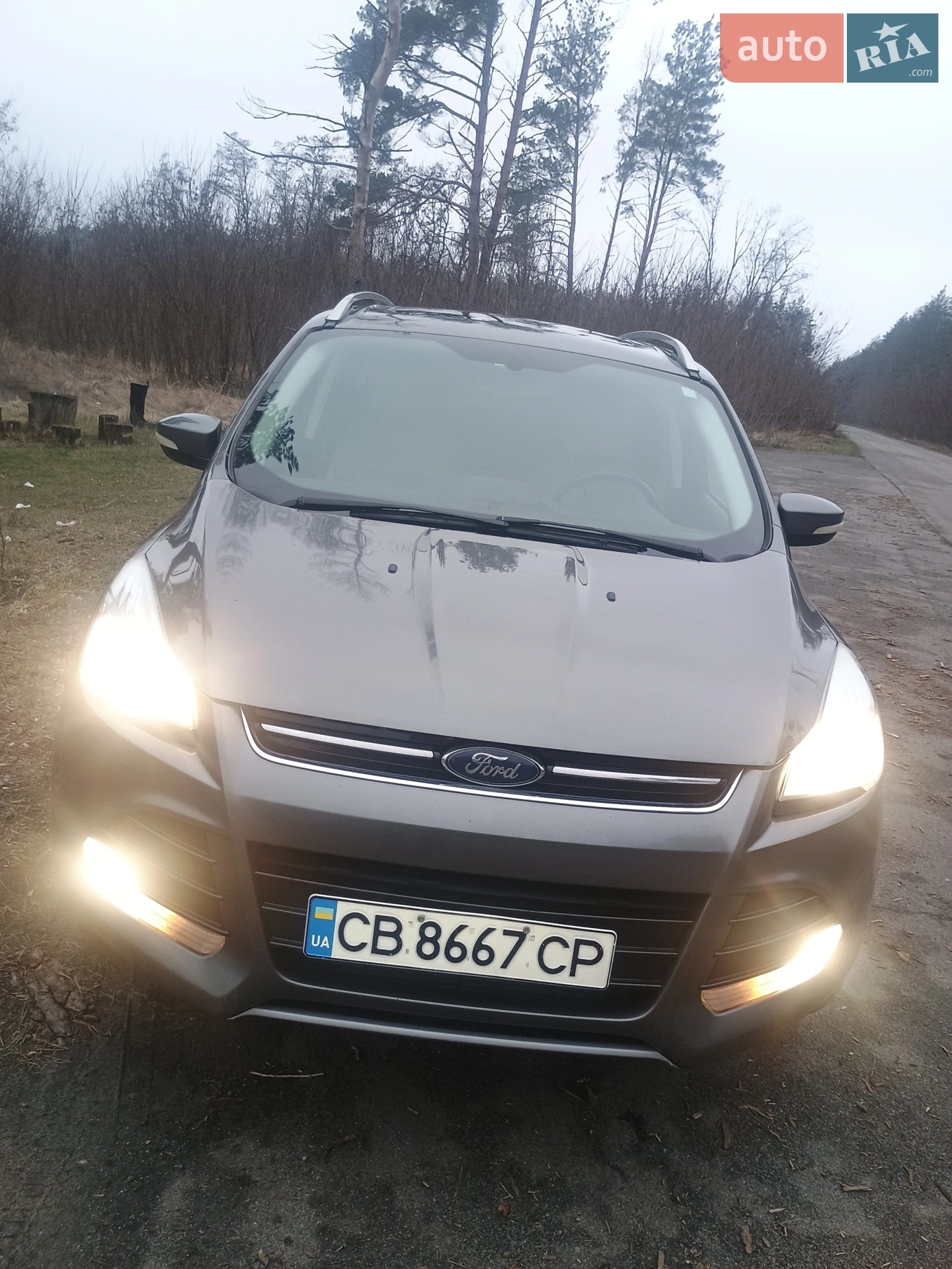 2014 Ford Escape - фото 1