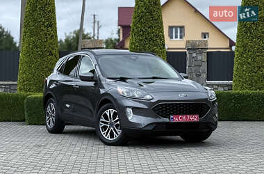 Позашляховик / Кросовер Ford Escape 2019 в Івано-Франківську