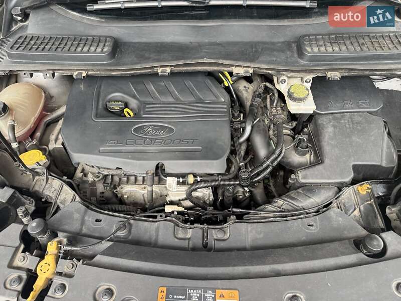 Внедорожник / Кроссовер Ford Escape 2017 в Жашкове фото 13 Внедорожник / Кроссовер Ford Escape 2017 в Жашкове