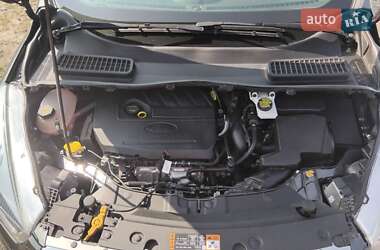 Внедорожник / Кроссовер Ford Escape 2016 в 