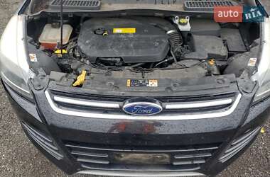 Внедорожник / Кроссовер Ford Escape 2016 в 