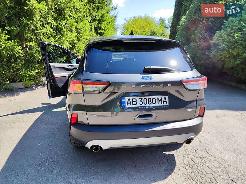 Внедорожник / Кроссовер Ford Escape 2019 в Виннице фото 3 Внедорожник / Кроссовер Ford Escape 2019 в Виннице