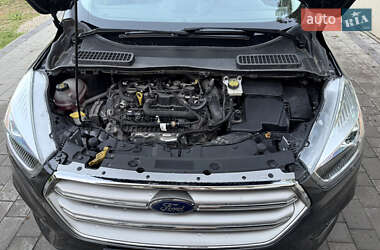 Внедорожник / Кроссовер Ford Escape 2019 в 