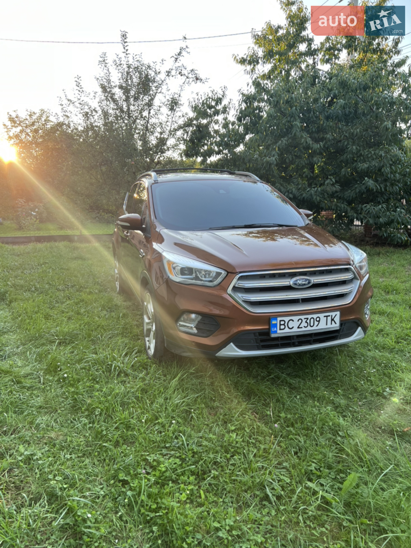 2016 Ford Escape - фото 1