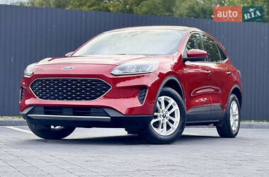 Позашляховик / Кросовер Ford Escape 2020 в Самборі