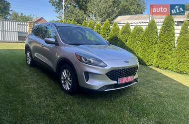 Внедорожник / Кроссовер Ford Escape 2020 в Чигирине