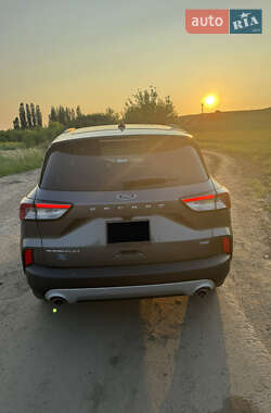 Позашляховик / Кросовер Ford Escape 2021 в  фото 3 Позашляховик / Кросовер Ford Escape 2021 в