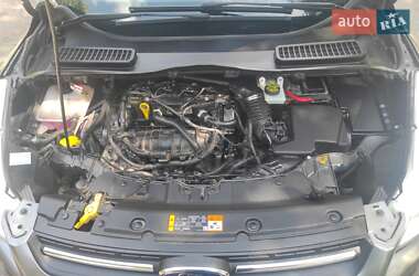 Внедорожник / Кроссовер Ford Escape 2013 в 