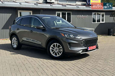 Внедорожник / Кроссовер Ford Escape 2020 в 