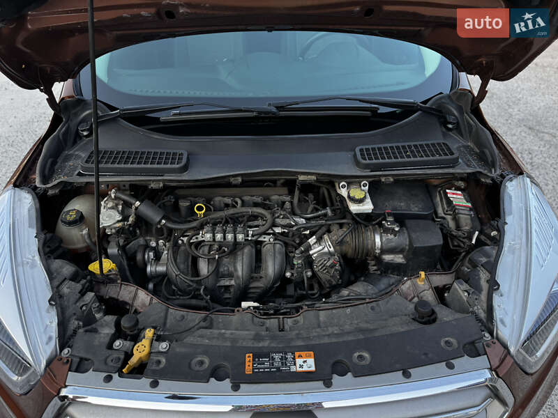 Внедорожник / Кроссовер Ford Escape 2017 в Житомире